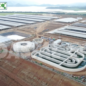 Hệ thống xử lý nước thải trang trại chăn nuôi bò sữa cho tập đoàn TH True Milk tại Thanh Hóa – Công suất: 5.000 bò sữa