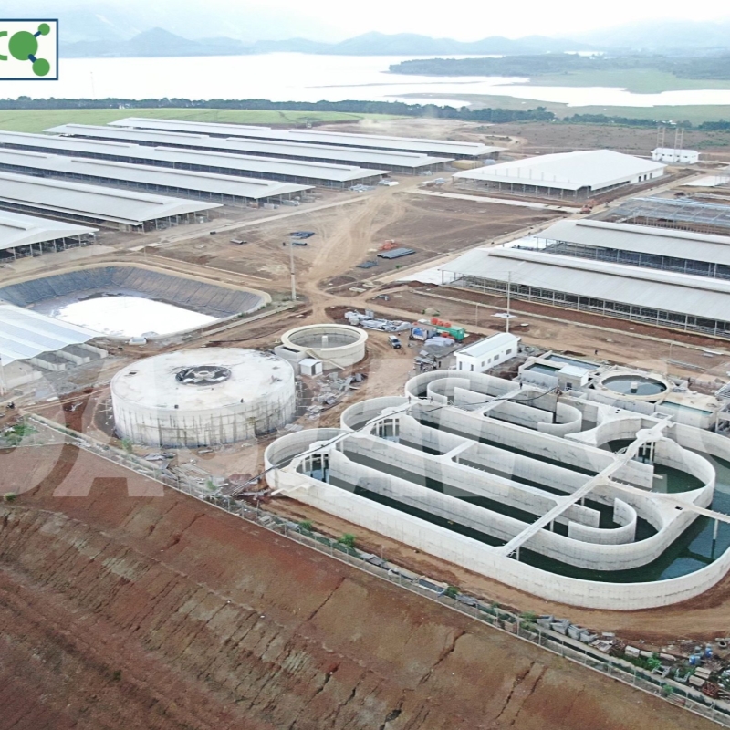 位于Thanh Hoa TH True Milk 集团奶牛场废水处理系统 – 处理能力：5,000 头奶牛